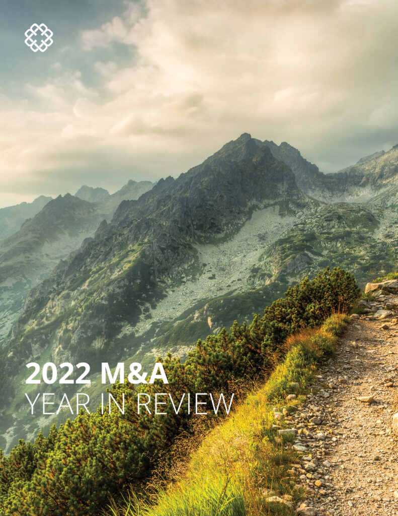 M&A Year In Review cover image